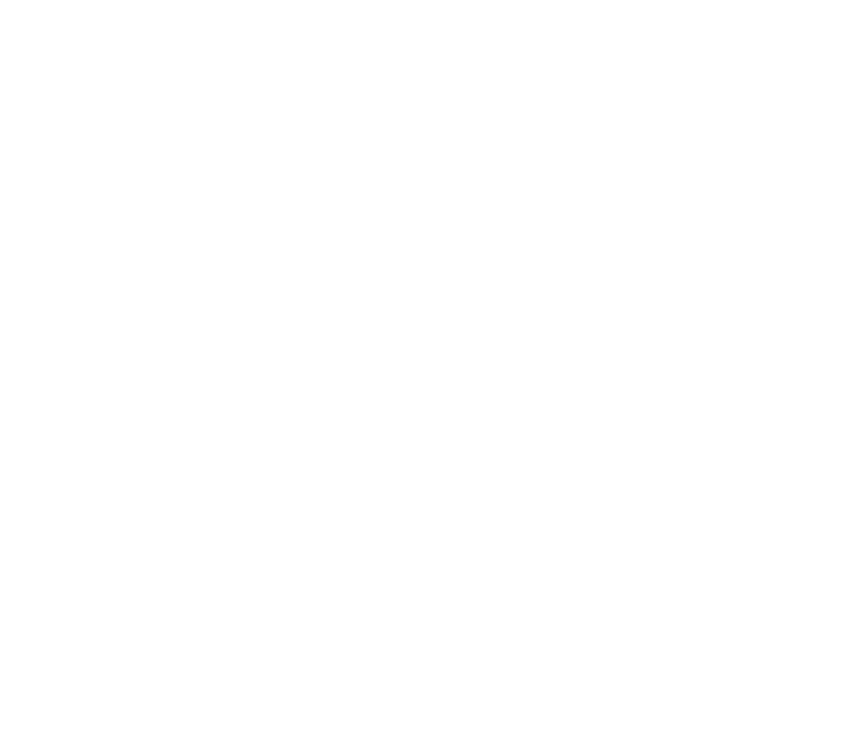 hassanalikasi.com